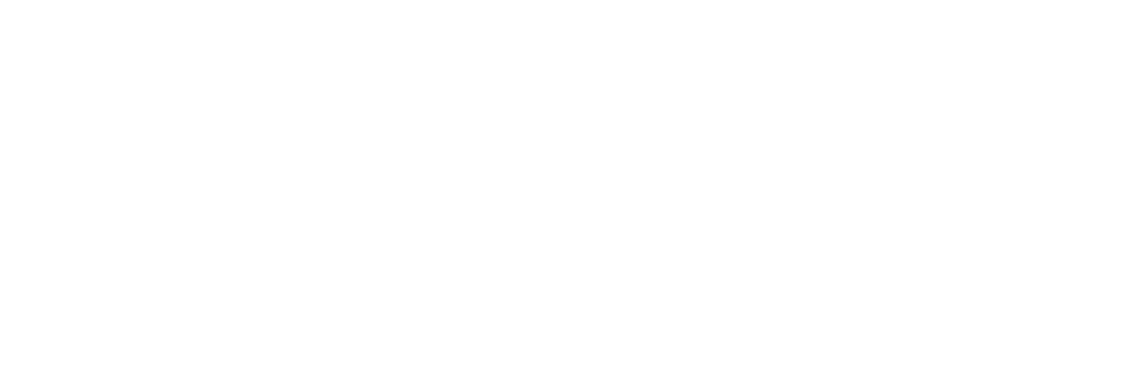 Streava Store